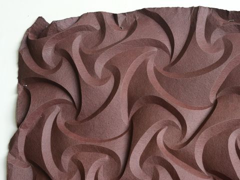 Persimmon Shield, detail — 20 x 26 x 2 inches